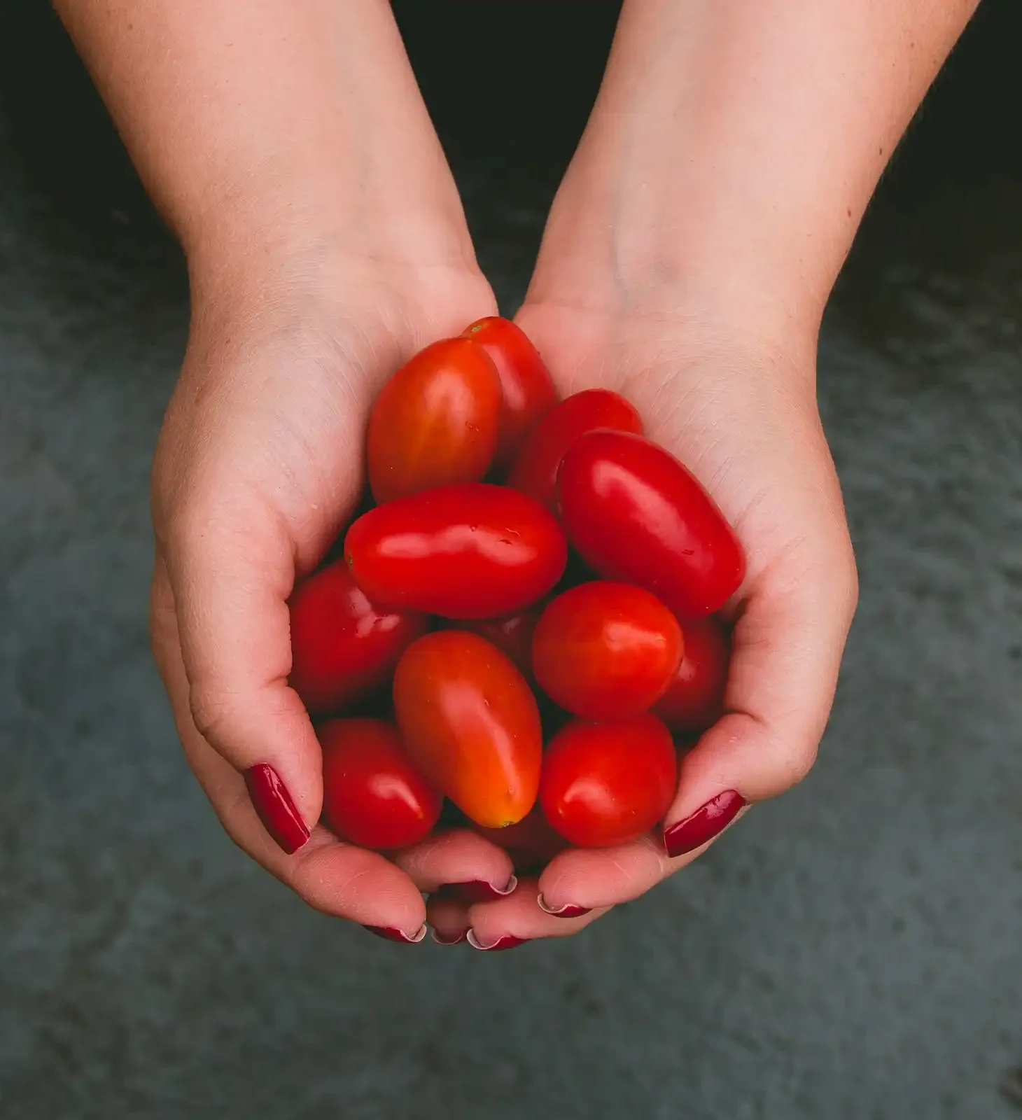 Vegetables-supply